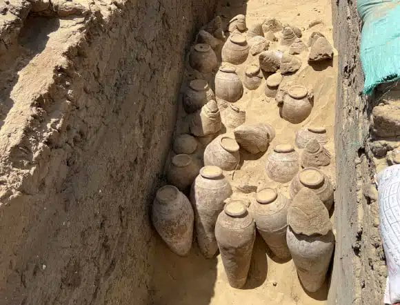 A 5,000-year-old vintage wine was discovered within the tomb of an Egyptian queen. 2 F8Qhl8IXwAAbjHS 1