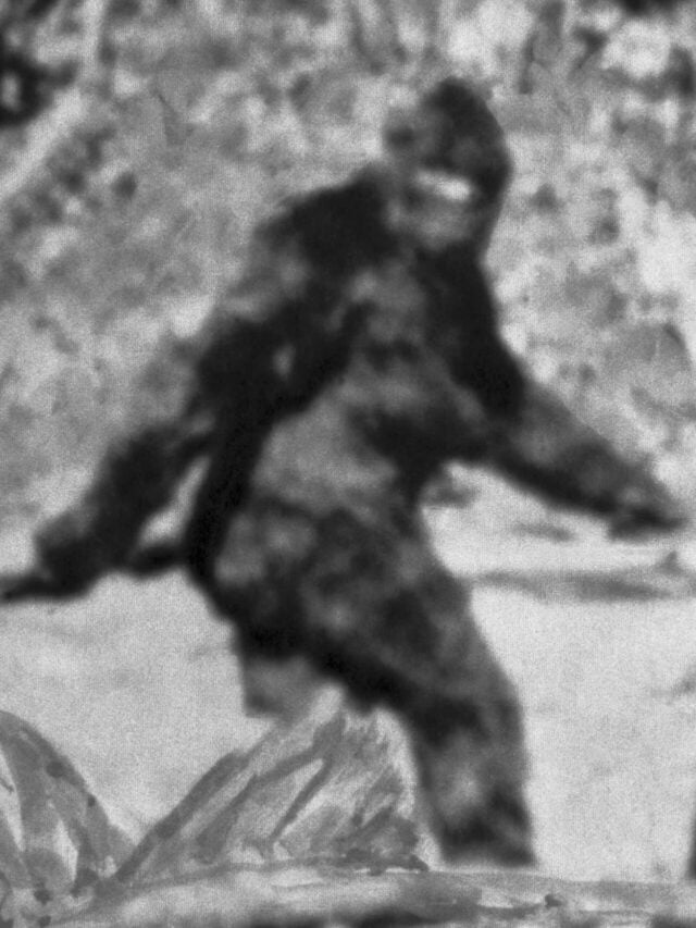 105951036-1559761167164bigfoot
