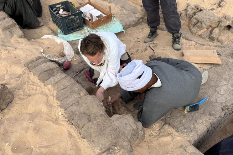 A 5,000-year-old vintage wine was discovered within the tomb of an Egyptian queen. 3 newspress collage uszgxxhxg 1697394565535 1