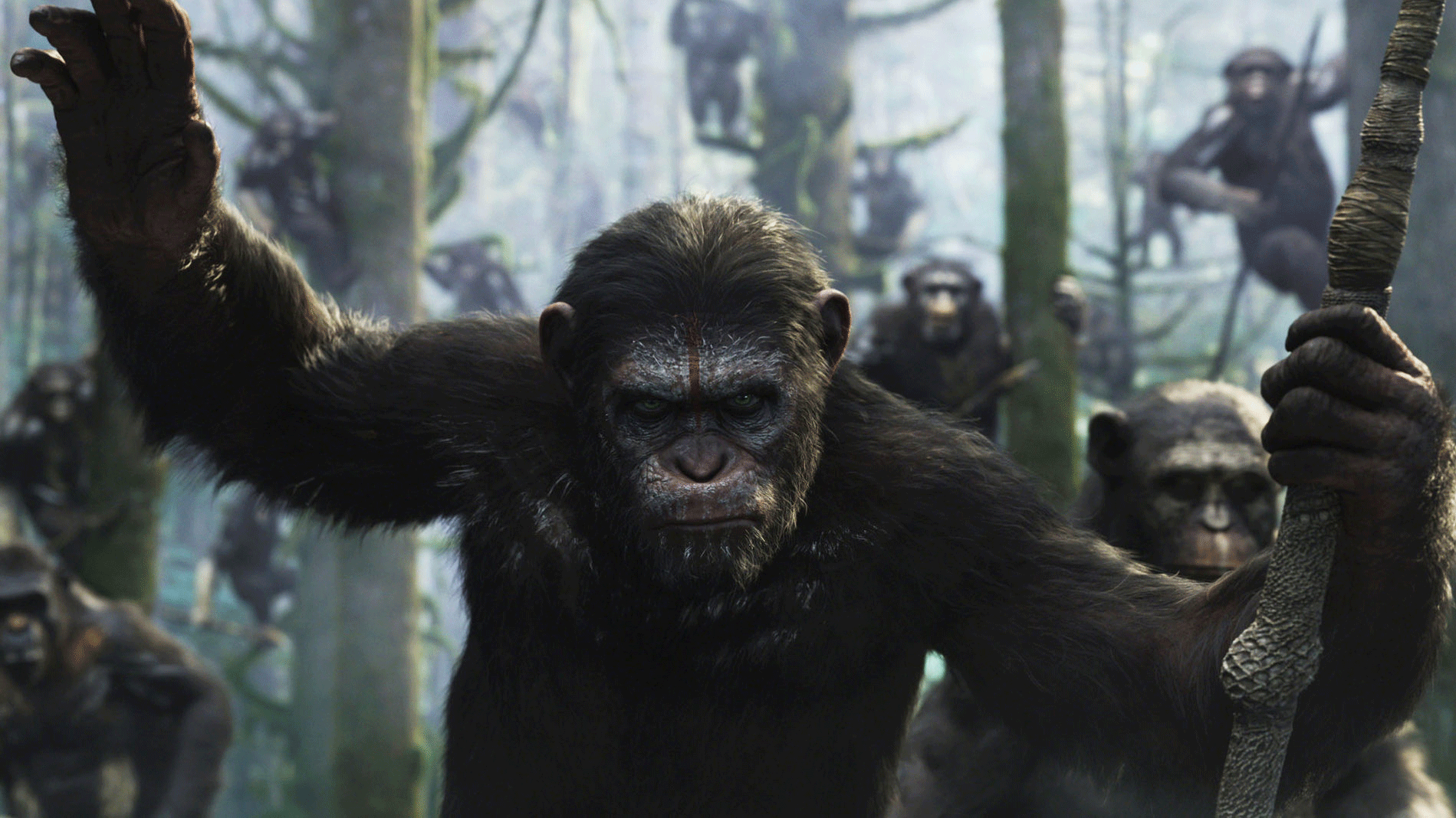 Apes Rise Again! Watch 'Kingdom of the Planet of the Apes' Trailer 1 monkey-ape-hp