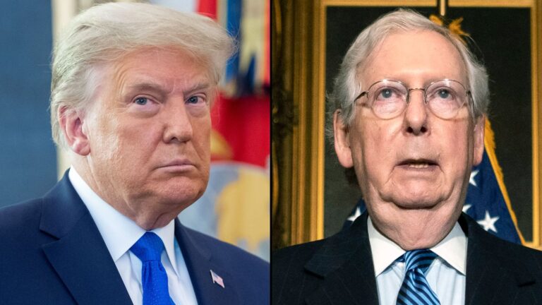 Trump emerges as GOP leader amidst criticism of Johnson and McConnell.