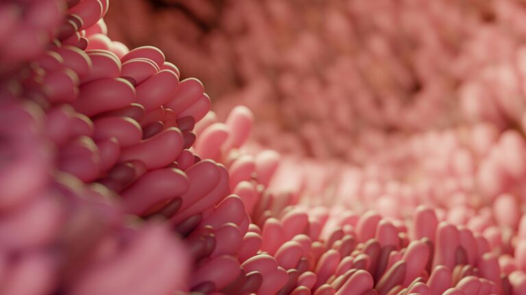 Mysterious obelisks in human gut