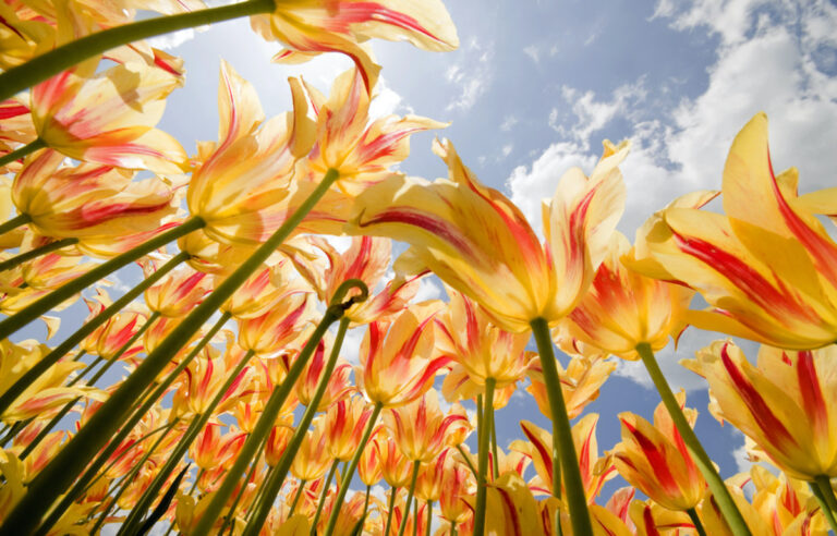 first day of spring 2024, vernal equinox